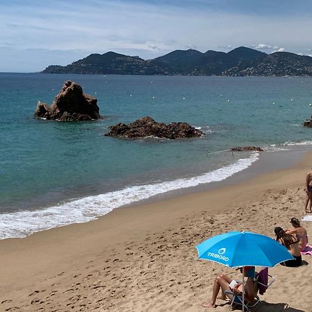 Le Palm Azur Apartman Cannes Kültér fotó